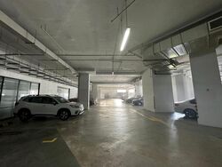 Mapex (D20), Factory #464733611